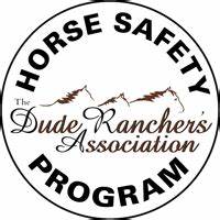 horse safety